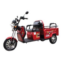 이지모터스 EG-200 친환경 전기 스쿠터 삼륜 오토바이 화물겸용