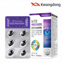 광동 눈건강 루테인지아잔틴 500mg 30캡슐x3개월분