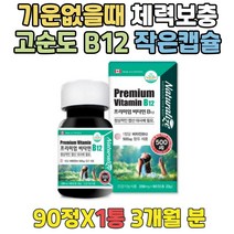 기운이없을때 시아노코발라민 체력보충 비타민비12 자꾸졸려요 수험생 체력회복 시험선물 해외비타민 B12 비타민비영양제 고순도 프리미엄 식약처인증 비타민B영양제추천 비타민B12음식