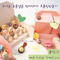 동물얼굴막대과자 초콜릿만들기세트 외7종, 5.과일초콜릿키트