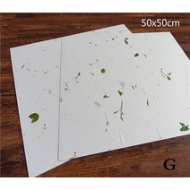 Rijstpapier 서예 종이 카드 그림 섬유 반 익은 쌀 Carta Di Riso 꽃 10 장