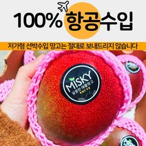 프리미엄 페루산 애플망고 2kg 4kg 특대과, 애플망고 2kg(4-5과)