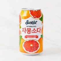 [메가마트]썬키스트 소다자몽 340ml, 1개