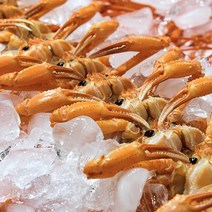 신선한 구룡포 자숙 생물 홍게 3kg 10-12마리