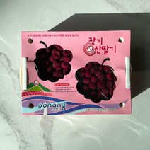 포항 장기 산딸기 급냉 라즈베리 GAP 프리미엄 생 산딸기 500g 1kg 2kg, 500g(급냉)