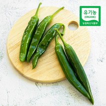삼시세끼연구소 안매운 친환경 유기농 무농약 고추 오이고추 오이맛고추 아삭이고추 150g, 1개