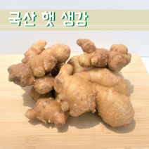 국내산 햇 생강 1KG 3KG 5KG