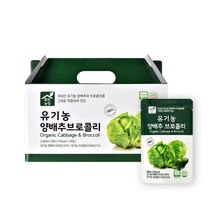 두레생협 NFC 100% 유기농 양배추 브로콜리 즙 주스 쥬스 원액 80mlX30팩, 80ml, 30개