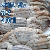서해안 진도 꽃게 급냉 암꽃게 게장용 1kg 2kg 3kg, 급냉_암꽃게2kg