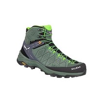 Salewa 남성용 Alp 트레이너 2 미드 Gtx - Raw 그린