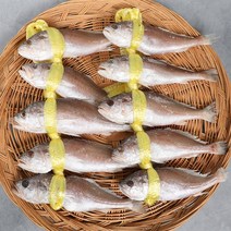 브라질 침굴비 22cm 전후 굴비 도매용 업소용 80마리