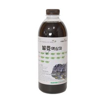 엉겅퀴 발효 효소 원액(액상차) 1L