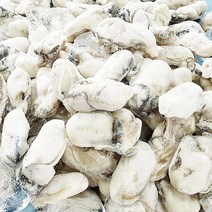 100% 국내산 뿔소라 통영 가리비 굴 당일수확, 1개, 냉동굴1kg
