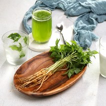 이승현님의 전남 함평 새싹삼 새싹인삼, 1박스, 특대(2~3년근 30cm 이상) 15뿌리