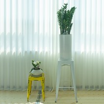 pfo002 축 개업 개원 축하화분 공간배치 식물인테리어