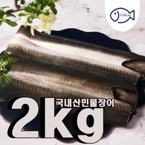 국내산 손질민물장어2kg 소스 생강채(정직한은성수산), 단품