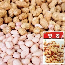 땅콩 씨앗 (20g) 채소씨앗 야채씨앗 완두콩씨앗, ♬본 상품 선택하기_KIRetail™