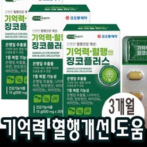 징코플러스 은행잎추출물 혈액 순환 에 좋은 두뇌 기억력 영양제 혈행 개선 도움 뇌 약3개월분(3박스)