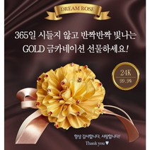 24k 장모님 프러포즈 어버이날 스승의 날 금 화 코사지 카네이션 개업 선물, 24k카네이션