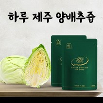하루제주 고깔 양배추즙 80ml 30개입 저온착즙 양배추생즙 100% 과채주스, 하루제주 양배추즙 50개입