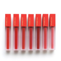 레드쿠키 NEW 브라우니 벨벳틴트 4g, B2 레알딸기