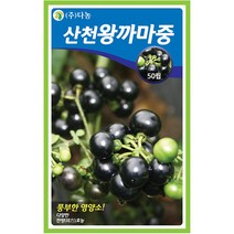 다농 산천 왕까마중 50립 - 씨 씨앗 까마중씨앗 까마중씨 강태 깜두라지 용규 나물씨앗 민속채소 채소씨 채소씨앗, 32_다농_산천왕까마중(50립)