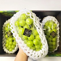 [블랙라벨] 프리미엄 샤인머스켓 2수 3수 초고당도 과일선물세트, 2수 1kg