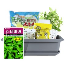 월드가드닝 집에서길러먹는채소-스테비아허브텃밭세트9종, 단품