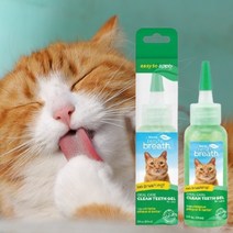 고양이치은염 고양이 마시는치약 치주염약 잇몸염증 이닦기 구강케어 치석치약