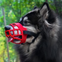 디지펫 강아지 입마개 소형견 중형견 대형견 마스크, 2호, 레드