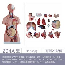 피규어, 타입 204A / 높이 85cm