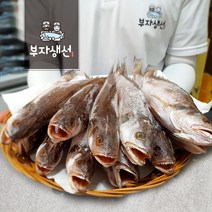 반건조 조기 민어조기 10~12마리세트 25~30cm반찬용(부산 망미중앙시장), 민어조기27cm 10마리