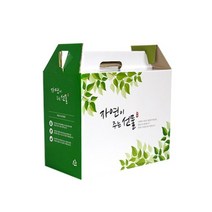 자체제작 한약박스 자연이주는선물(소) 50장 _ 71559EA, 본상품선택