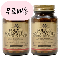 (2개 세트) 솔가 엽산 400 mcg 250 타블렛 Solgar [ 품 질 보 증 ], 2개, 250정, 250개