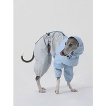 산책용 바람막이(우비겸용)_이탈리안그레이하운드 라인_스카이블루, M