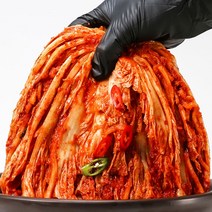 불 매운 실비김치 국산 전통 엄마 손맛 주문 카이자, 핫땡김치 2kg
