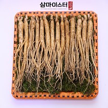 금산 삼마이스터 삼계용인삼750g, 중삼계 750g(38~40뿌리), 3.세척+진공포장