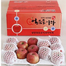 밀양사과 밀양얼음골사과 홍로사과 5kg 14/15과 사과따기체험 사과다이어트 사과빵 사과잼 사과쥬스, 상세페이지 참조