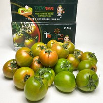 대저 짭짤이 토마토 2.5kg, 대저토마토 2.5kg 비품,못난이,램덤과