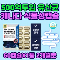 50대 남성 여성 장건강 100억 유산균 캐나다 프롤린 비피더스 알루알루 분해효소 식물성 캡슐 이눌린 60대 시니어 장내 유익균 유해균 미생물 가스 세균 배변활동 장에좋은