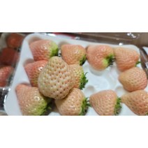 만년설 딸기 신데렐라 딸기 백딸기 흰딸기 하얀딸기 화이트딸기 1kg 2kg, 2.신데렐라 만년설 딸기 4팩 2kg