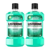 리스테린 티쓰앤검 디펜스 구강청결제, 750ml, 2개