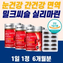 프리미엄 간건강 간해독제 간보호제 40대 50대 60대 남성 밀크씨슬 낱개포장 남자 음주 전후 술 먹으면 알코올 음식 민들레 추천 효능 몸 피곤 엉겅퀴 황달 몸이 무거워요
