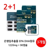 뉴일리 징코알티지오메가3 90캡슐(3개월) 은행잎추출물 홍삼농축분말