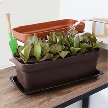 우리집 베란다 정원 토마토 키우기용 큰 화분 어린이 홈가드닝 거실, 화이트