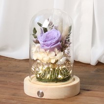 프리저브드 장미 유리돔 프리저브드 꽃선물 LED 무드등 여자친구 기념일 선물, 장미 바이올렛(네추럴)