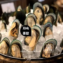 미트팬트리 뉴질랜드 한쪽껍질 초록입 홍합 자숙 냉동 800G Green Lipped Mussel
