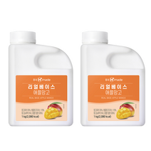 흥국 애플망고 농축액 1L 2개세트, 1. 일반박스