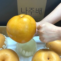 나주배 햇배 스테비아급 나주 특산물 신고배 원황배 쥬스용, 가정용 5kg (5-7과)