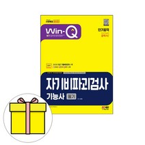 시대고시기획 Win-Q 자기비파괴검사기능사 필기 시험